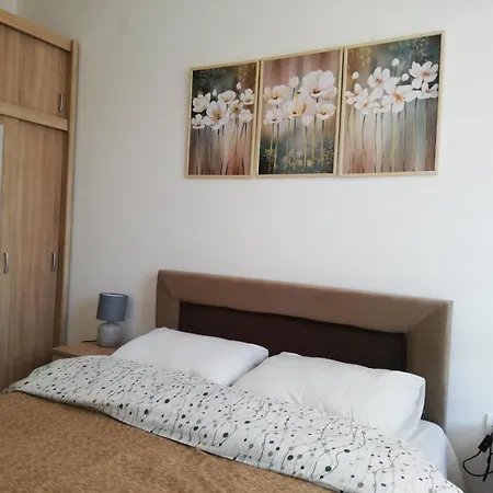 Mali Raj Apartman Soko Banja